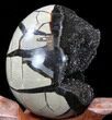 Septarian Dragon Egg Geode - Black Calcite Crystals #34702-2